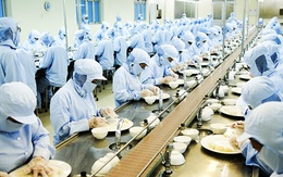 Cấp thiết cải thiện môi trường kinh doanh thực chất và mạnh mẽ