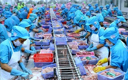 Tổng giá trị xuất, nhập khẩu của Việt Nam quý I/2022 đạt 176,75 tỷ USD