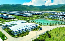 Giám đốc Kinh doanh SSI: 'Nhà đầu tư đang tìm kiếm những cổ phiếu chuẩn bị tốt cho chu kỳ tăng trưởng mới như Vinamilk'