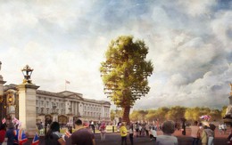 Anh: Trưng bày tượng khổng lồ từ 350 cây xanh bên ngoài Điện Buckingham
