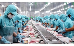 Xuất khẩu thủy sản được dự báo đạt 2,8 - 3 tỷ USD trong quý II