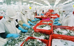 Hoa Kỳ là đối tác thương mại hàng đầu của Việt Nam