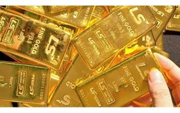 Giá vàng hôm nay 12/5: Đảo chiều tăng trở lại