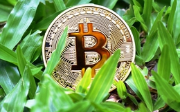 Giá Bitcoin hôm nay 16/5: Quay đầu tăng vượt mốc 31.000 USD