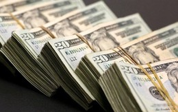 Tỷ giá USD ngày 31/5: Tỷ giá trung tâm giảm mạnh 32 đồng