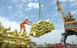 4 tháng đầu năm, xuất khẩu gạo Việt Nam vượt mốc 1 tỷ USD