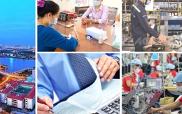Phục hồi vững chắc dù sức ép rất lớn