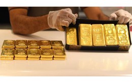 Giá vàng hôm nay 1/6: Giá vàng thế giới giảm, trong nước ổn định