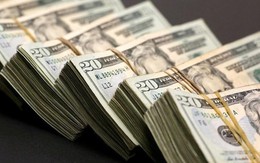 Tỷ giá USD hôm nay 13/6: Tỷ giá trung tâm tăng 6 đồng