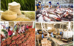 Xuất khẩu nông sản phấn đấu đạt mục tiêu 55 tỷ USD