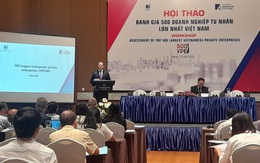 Phát triển kinh tế tư nhân trở thành một động lực quan trọng của nền kinh tế đất nước
