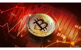 Giá Bitcoin hôm nay 11/8: Vượt ngưỡng 24.000 USD