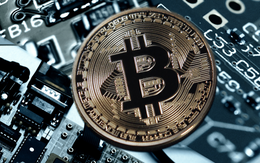 Giá Bitcoin hôm nay 18/8: Rơi về gần mốc 23.000 USD