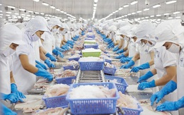 Xuất khẩu thủy sản sang Mỹ giảm mạnh