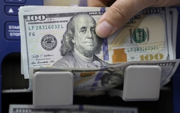 Tỷ giá USD hôm nay 31/8: Tỷ giá trung tâm giảm 2 đồng