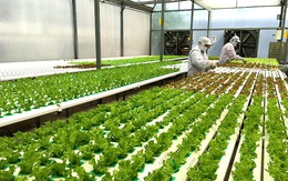 Cả nước phấn đấu đến năm 2025, có ít nhất 80% xã đạt chuẩn NTM
