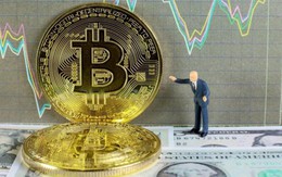 Giá Bitcoin hôm nay 9/8: Thị trường ngập sắc xanh