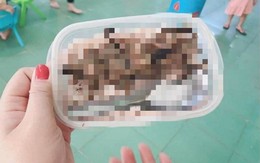 Quảng Nam: Thông tin chính thức về hộp cơm có chuột núi của học sinh