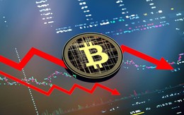 Giá Bitcoin hôm nay 14/9: Lao dốc sau dữ liệu lạm phát của Mỹ