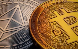 Giá Bitcoin hôm nay 15/9: Chững lại sau cú lao dốc thẳng đứng