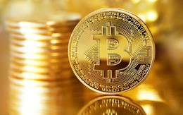 Giá Bitcoin hôm nay 29/9: Giao dịch quanh mức 20.000 USD