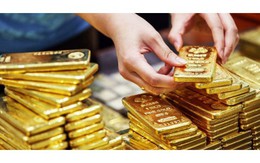 Giá vàng hôm nay 11/1: Giao dịch ở mức cao nhất trong 7 tháng