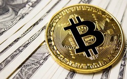 Giá Bitcoin hôm nay 14/1: Tăng gần 12%, áp sát mốc 21.000 USD