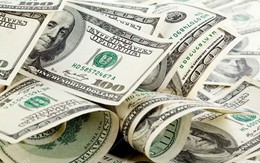 Tỷ giá USD ngày 19/1: Tỷ giá trung tâm giảm 1 đồng