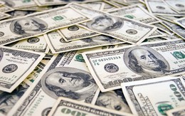 Tỷ giá USD hôm nay (12/10): Tỷ giá trung tâm tăng nhẹ