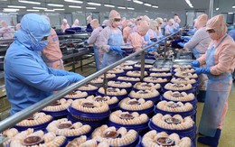 VASEP dự báo xuất khẩu thủy sản có thể đạt 9,3 tỷ USD trong năm 2023