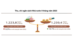 Thu ngân sách Nhà nước đạt hơn 1,2 triệu tỷ đồng
