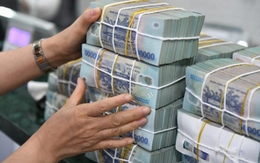 Ngân hàng Nhà nước đã hút hơn 110.000 tỷ đồng qua kênh tín phiếu