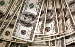 Tỷ giá USD hôm nay (6/10): Tỷ giá trung tâm giảm 10 đồng