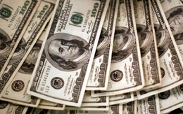 Tỷ giá USD hôm nay (2/11): Tỷ giá trung tâm tăng 10 đồng