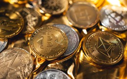 Giá Bitcoin hôm nay 8/11: Kỳ vọng một mức tăng lớn hơn