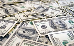 Tỷ giá USD hôm nay (7/12): Tỷ giá trung tâm tăng 8 đồng