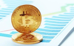 Giá Bitcoin hôm nay 13/2: Dự báo mức giá thấp nhất còn 5.000 USD