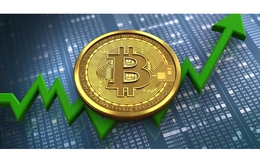 Giá Bitcoin hôm nay 15/2: Phục hồi mức giá trên 22.000 USD