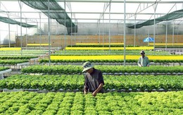 Đồng Nai: Tập trung phát triển nông nghiệp bền vững