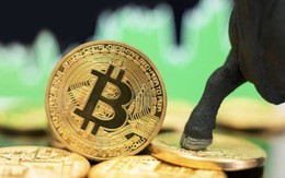 Giá Bitcoin hôm nay 4/2: Giao dịch quanh 23.400 USD