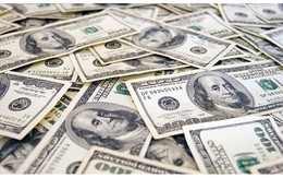 Tỷ giá USD ngày 7/2: Tỷ giá trung tâm tăng mạnh 10 đồng