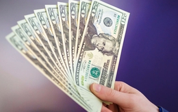 Tỷ giá USD ngày 8/2: Tỷ giá trung tâm tiếp tục tăng 3 đồng