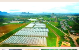Thanh Hóa: Tập trung phát triển các sản phẩm nông nghiệp công nghệ cao