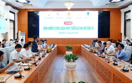 Thừa Thiên Huế: Định hướng chính sách phát triển và thu hút đầu tư nước ngoài