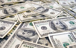 Tỷ giá USD ngày 23/3: Tỷ giá trung tâm giảm nhẹ 2 đồng