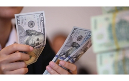 Tỷ giá USD ngày 9/3: Tỷ giá trung tâm tăng 8 đồng