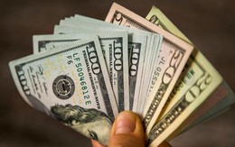 Tỷ giá USD ngày 13/4: Tỷ giá trung tâm quay đầu giảm nhẹ