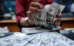 Tỷ giá ngày 18/4: USD trung tâm đảo chiều tăng 38 đồng