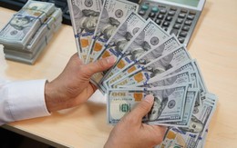 Tỷ giá USD ngày 22/4: Tỷ giá trung tâm ổn định