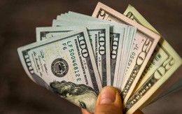 Tỷ giá USD ngày 24/4: Tỷ giá trung tâm giảm 8 đồng